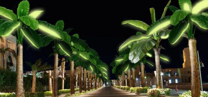 Lampu Pohon Palm LED