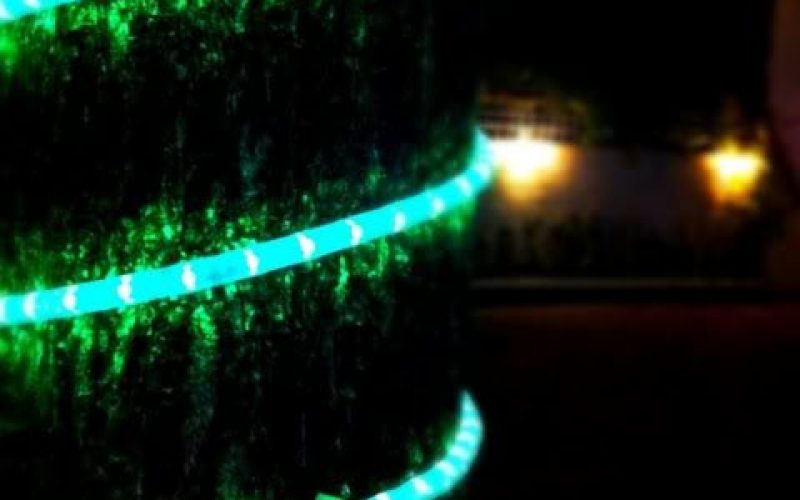 Harga Lampu Hias Lilit Pohon