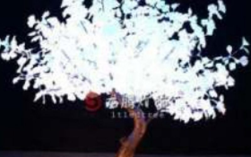 Lampu Hias Pohon Berkualitas Di Jakarta